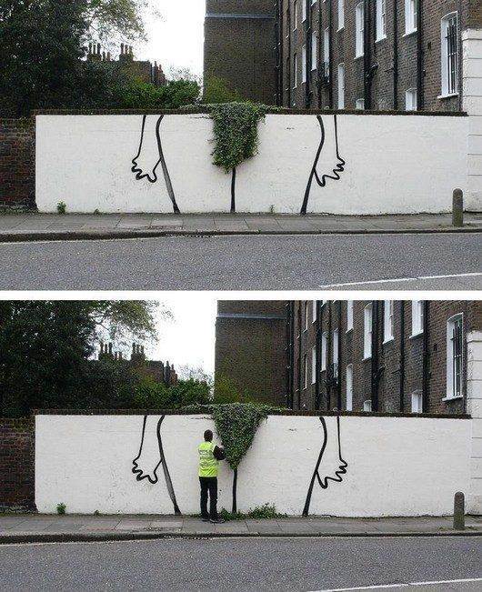 bush