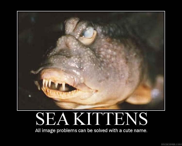 SeaKittens