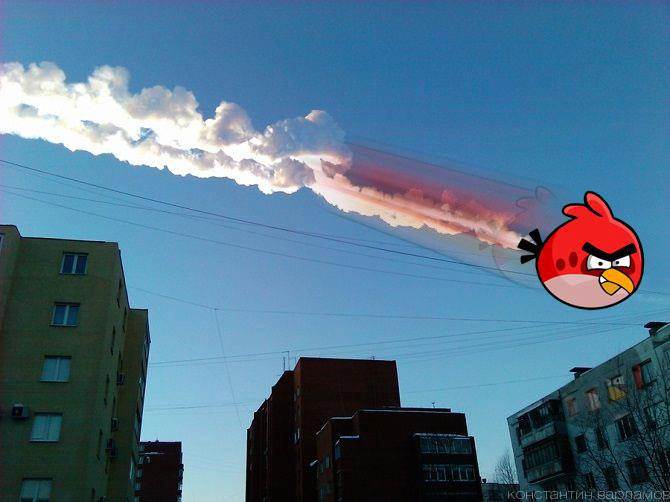 angry bird