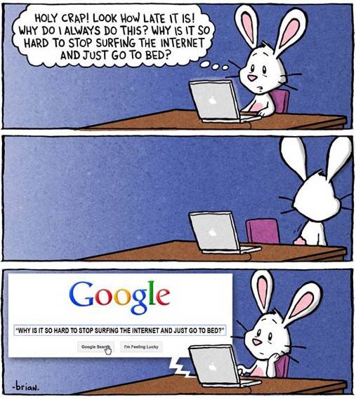 funny-bunny-google-question