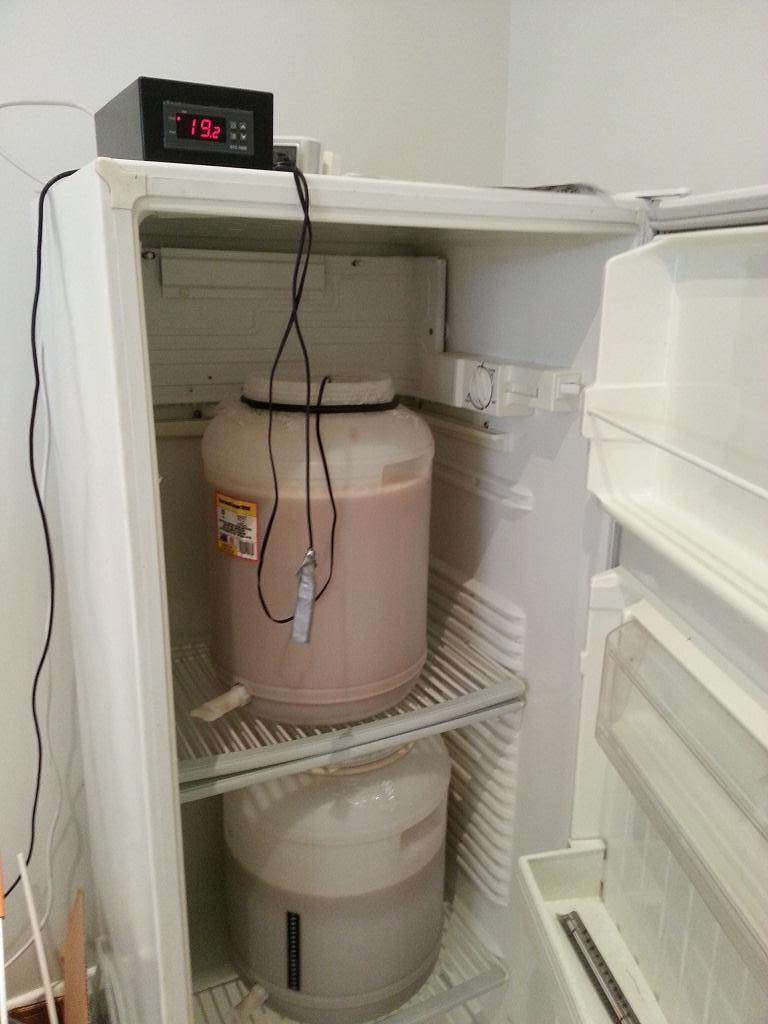 beer