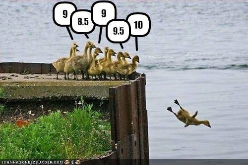 ducks