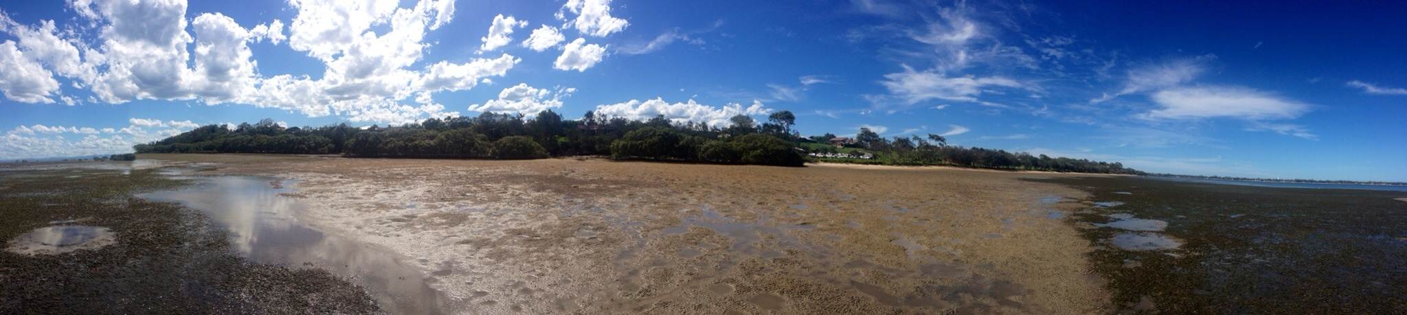 Sandstone Point low tide