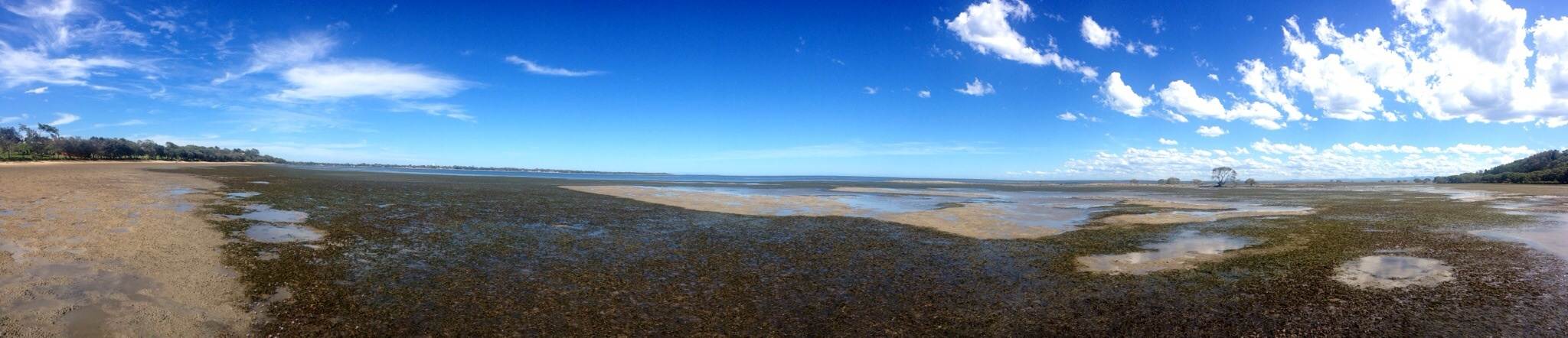Sandstone Point low tide
