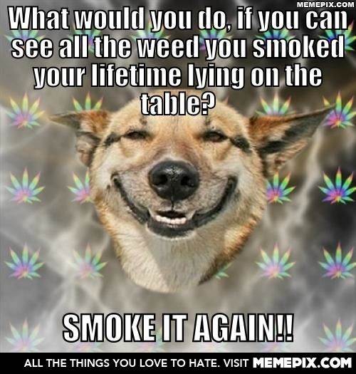 doggie