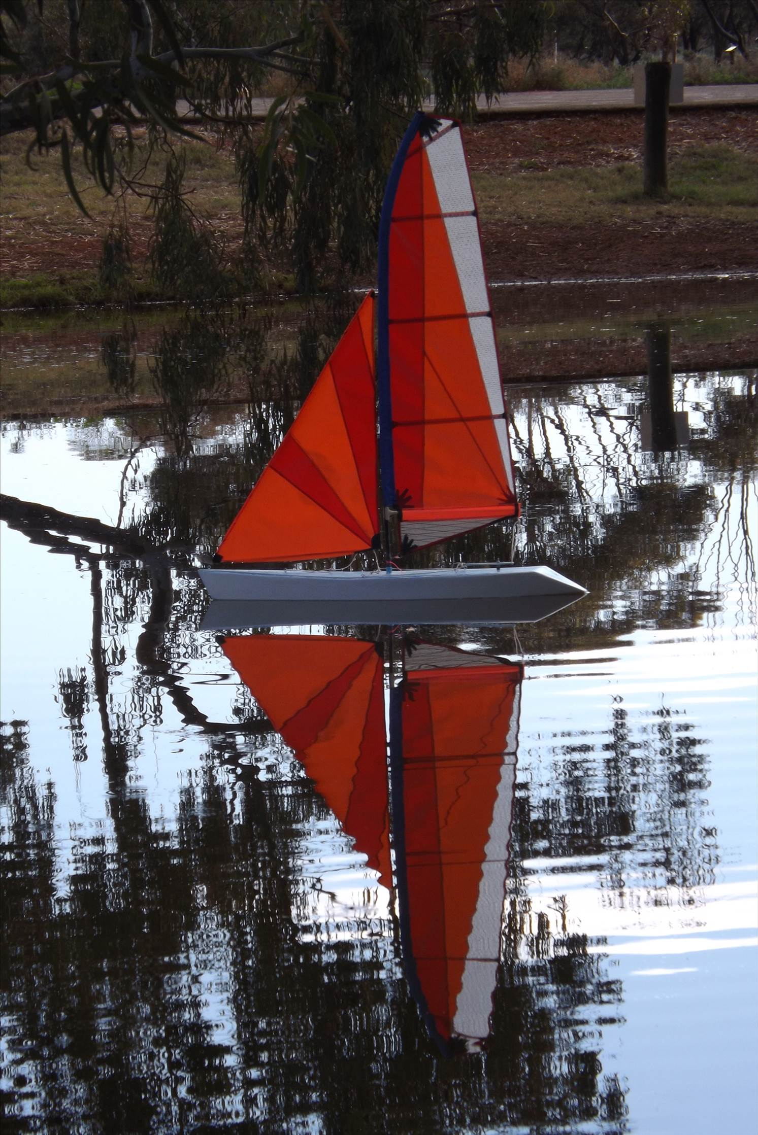 sloop
