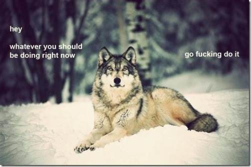 Funny