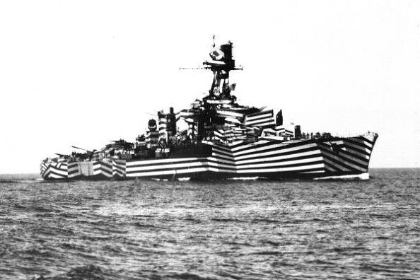 zebra-striped-camouflage