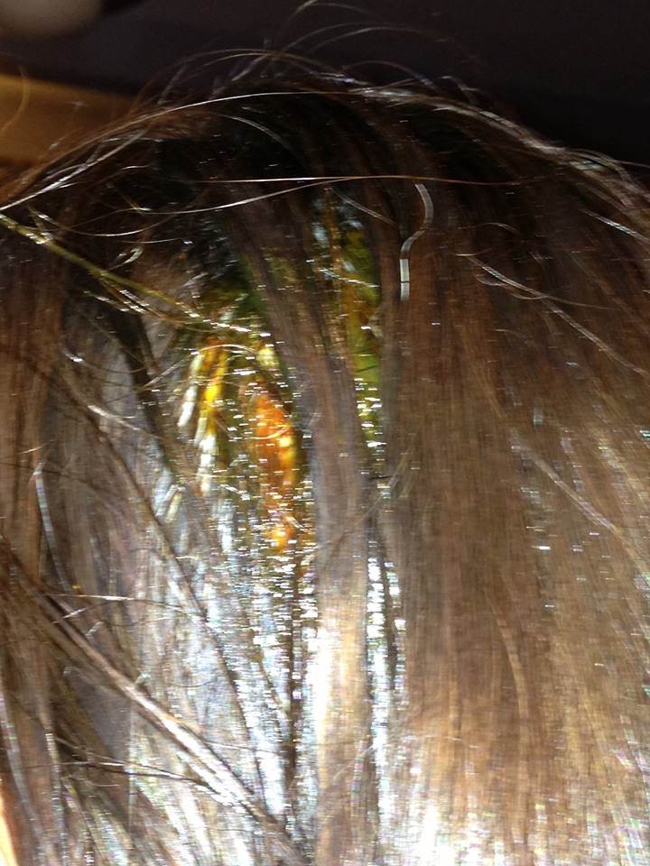 tiff head