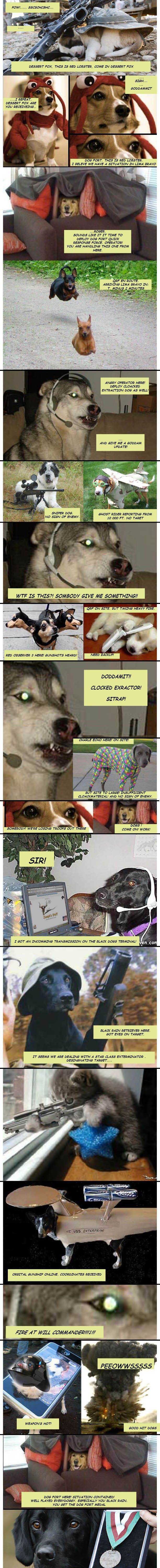 dog fort