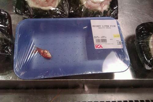 funny fish