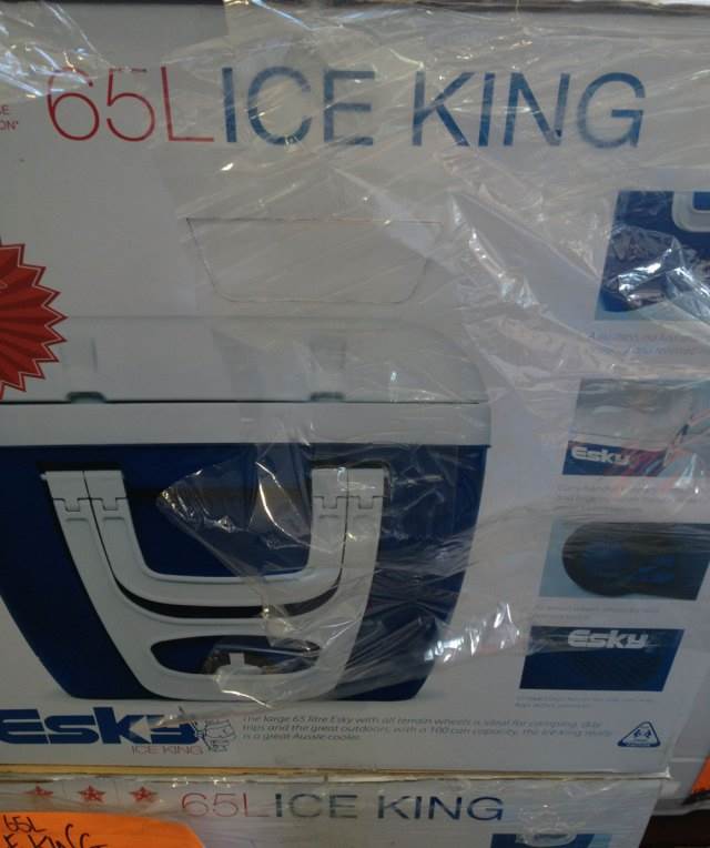 lice