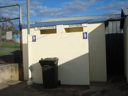 rocktoilet