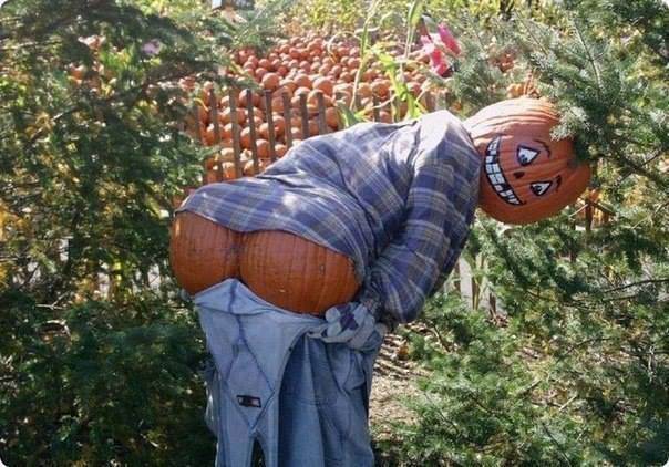 pumpkin 2