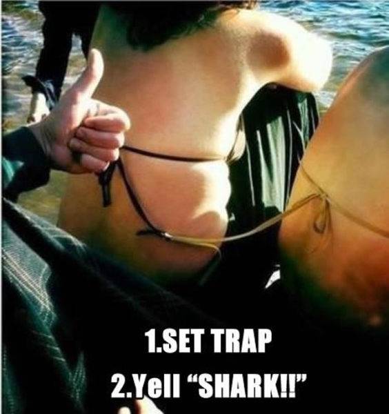 surprise-trap