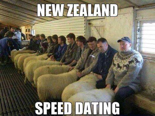 Speed dating