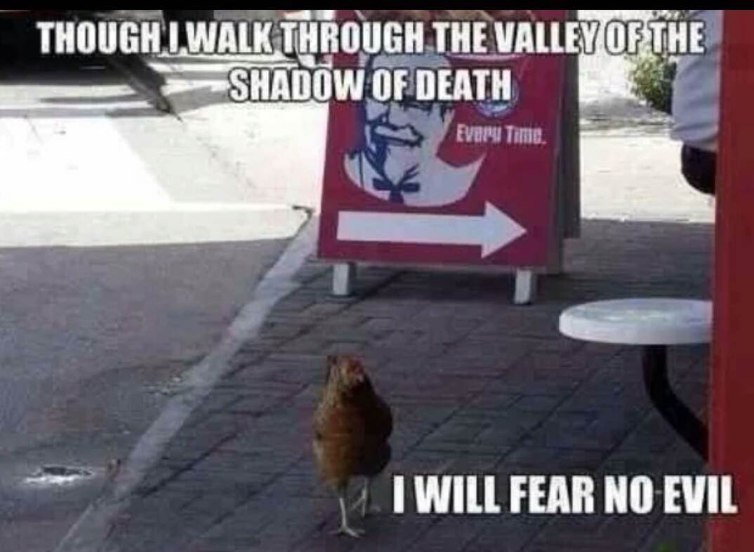 Funny pic 2