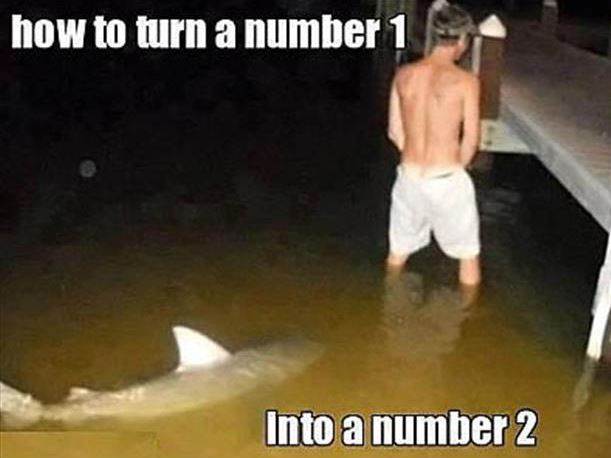 shark34