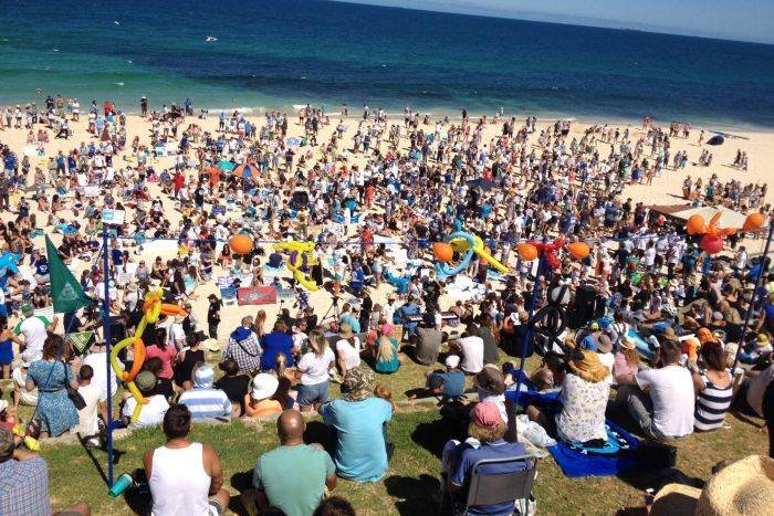 Shark protesters afraid to go in the water