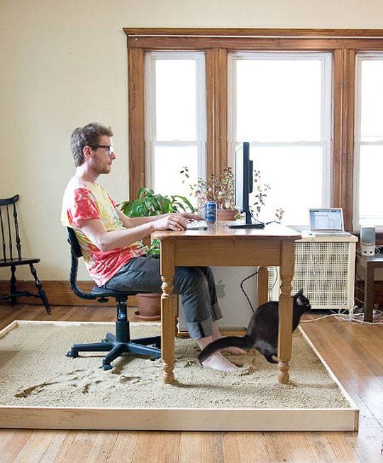 funny-sand-box-desk-cat-pooping