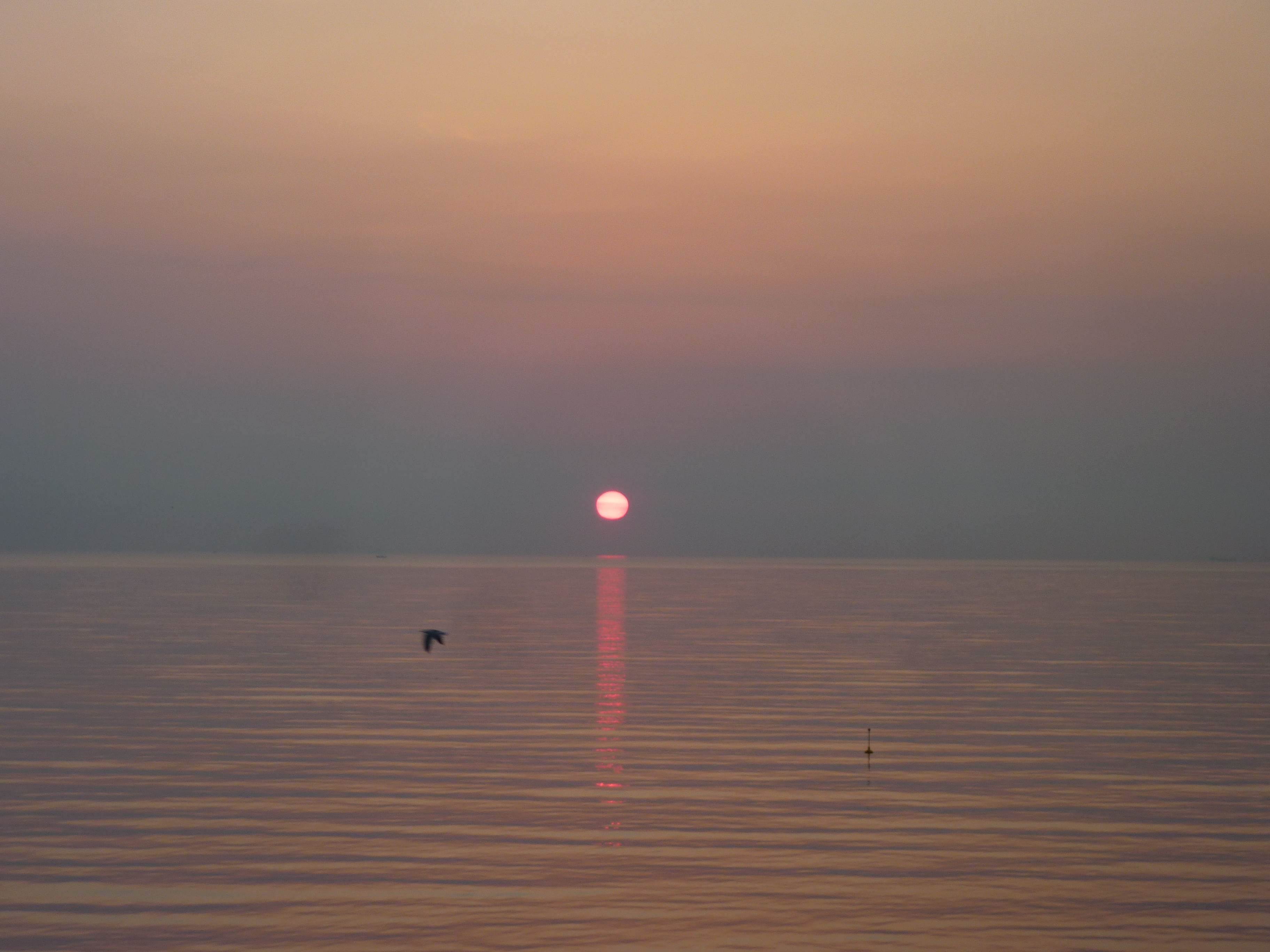 Land of the Rising sun