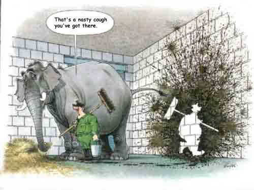 Sick-Elephant-831