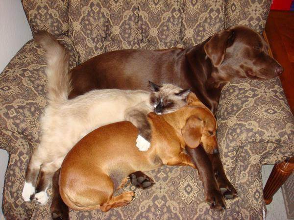 snuggle