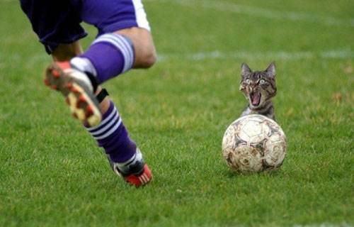 football