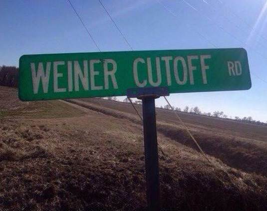 funny-road-sign-weird-name-Weiner
