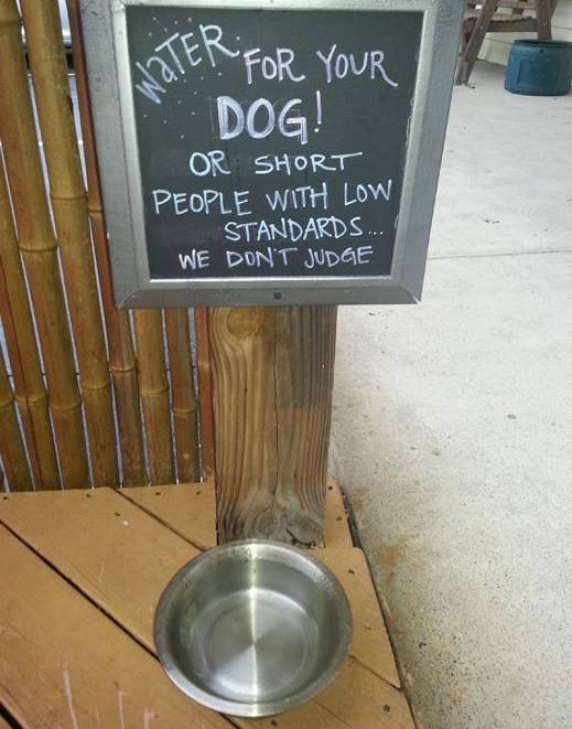 funny-sign-water-bowl-dog-bar