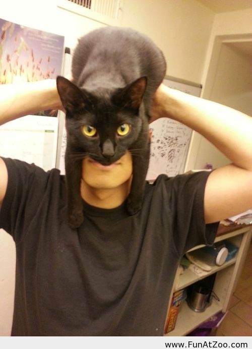 Funny-Batman-face