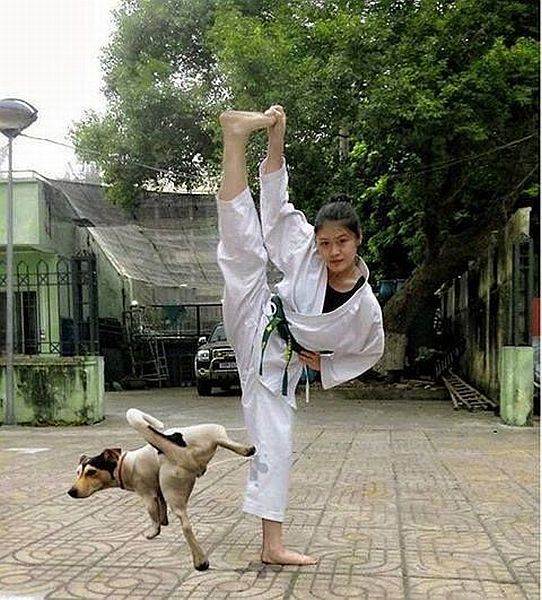 daily picdump 1660 640 01