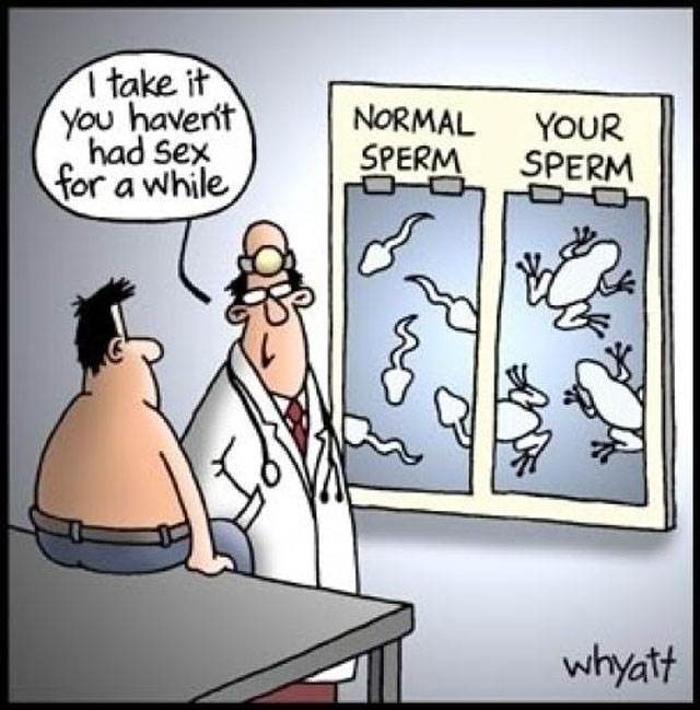 funny55