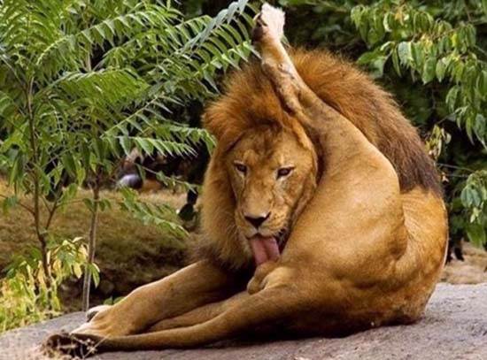 funny-photos-2342