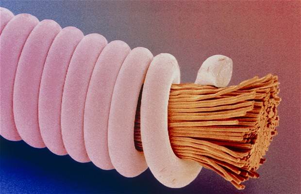 guitar-string 1802611i