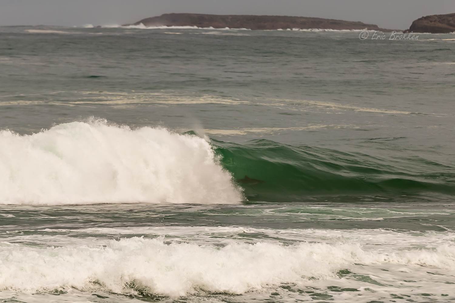 Surfing
