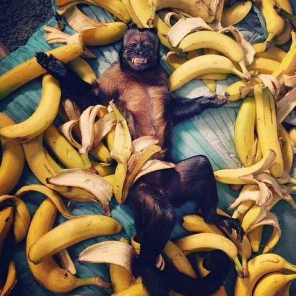 banane
