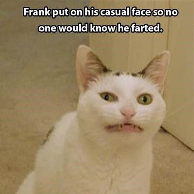 farted