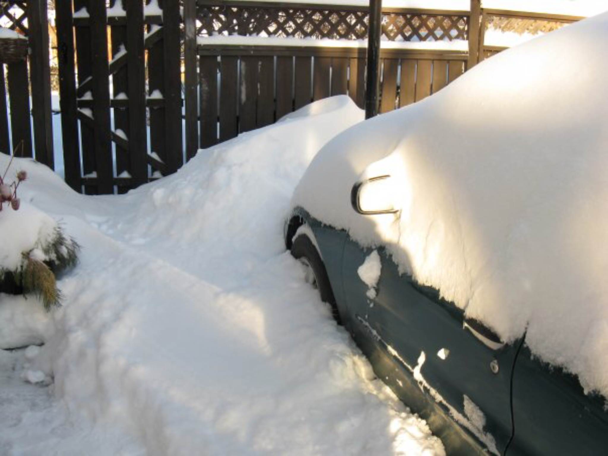 Snow Day