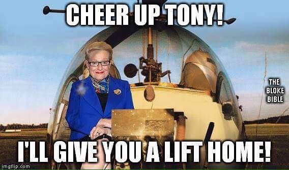 tonyride