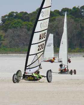 sandgropers
