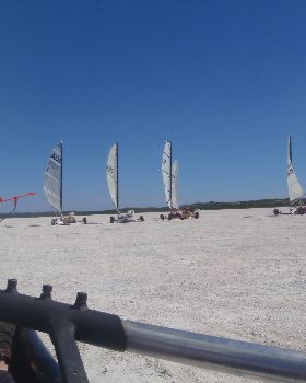 sandgropers