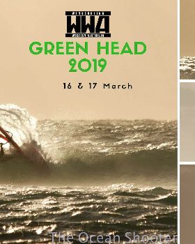 Copy of Green Head 2019