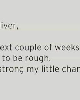 Liver