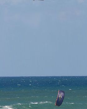 shit that's a big dolphin