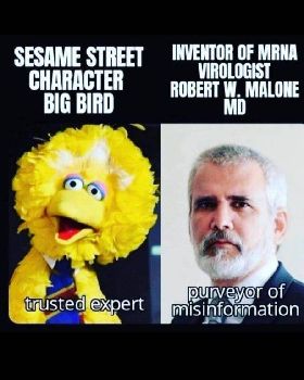 Memes
