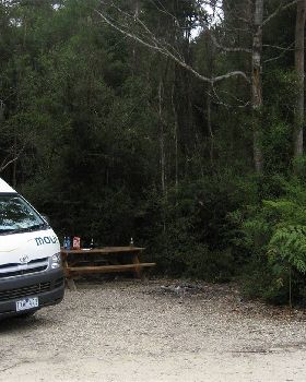 Tassie