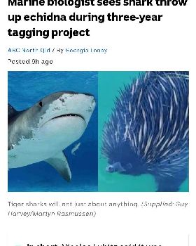 Screenshot20240606-193224Chrome
