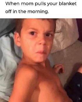 mom-meme