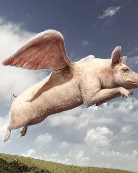 swineflu
